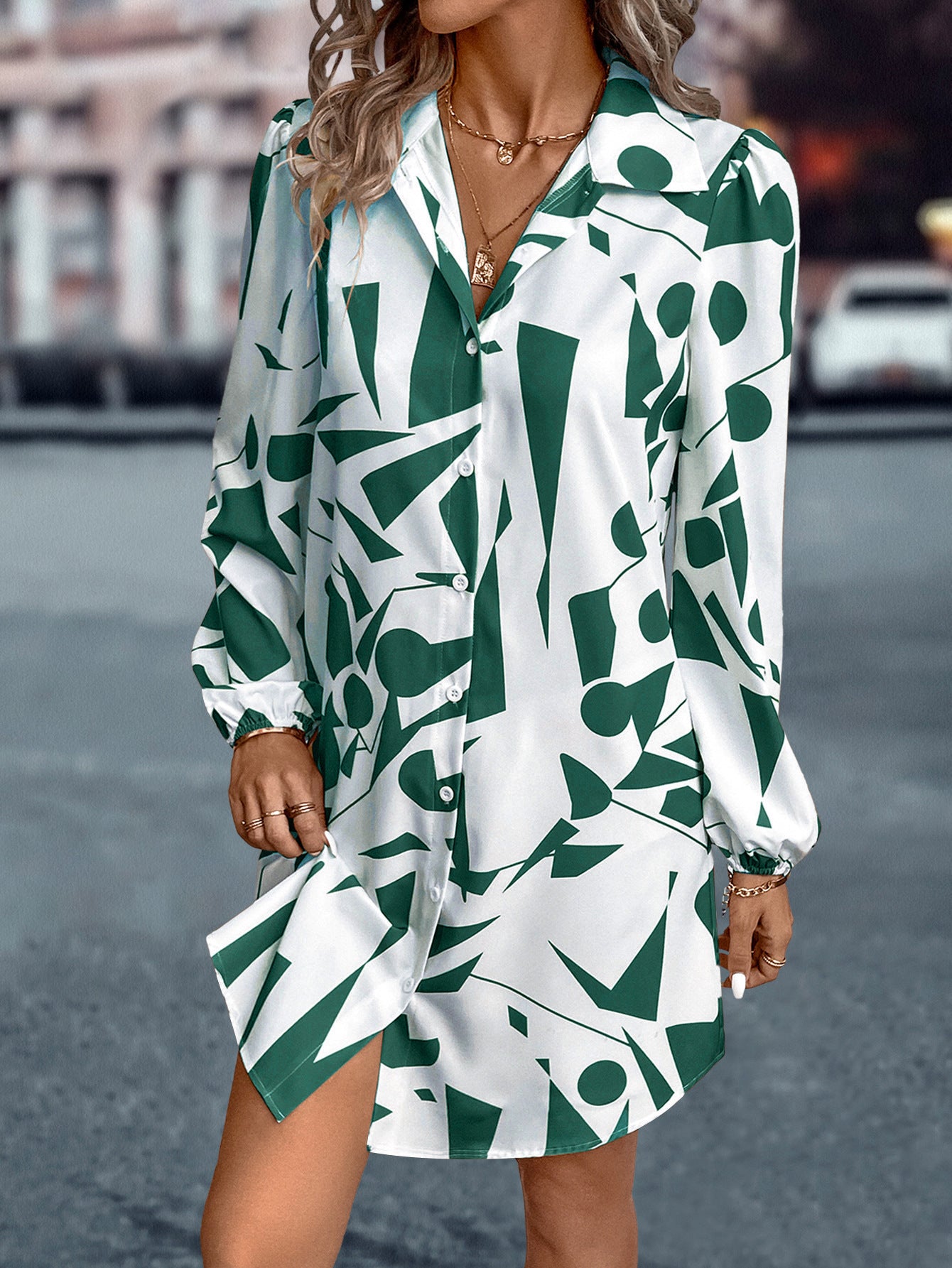 Women's Lapel Lantern Sleeve Print Dress